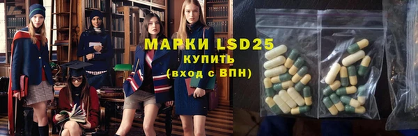 индика Алексеевка