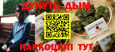 мдпв Гай