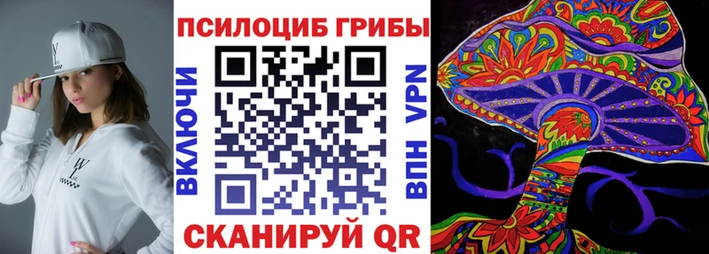 Псилоцибиновые грибы Psilocybe  купить закладку  Еманжелинск 