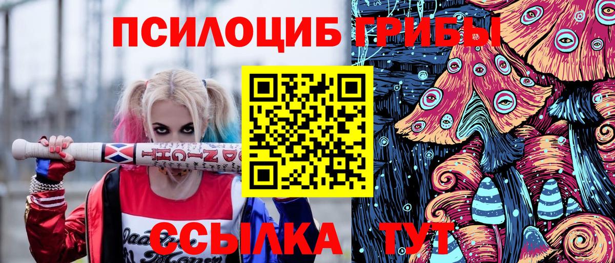 Псилоцибиновые грибы Psilocybe  Вход с VPN  Еманжелинск 