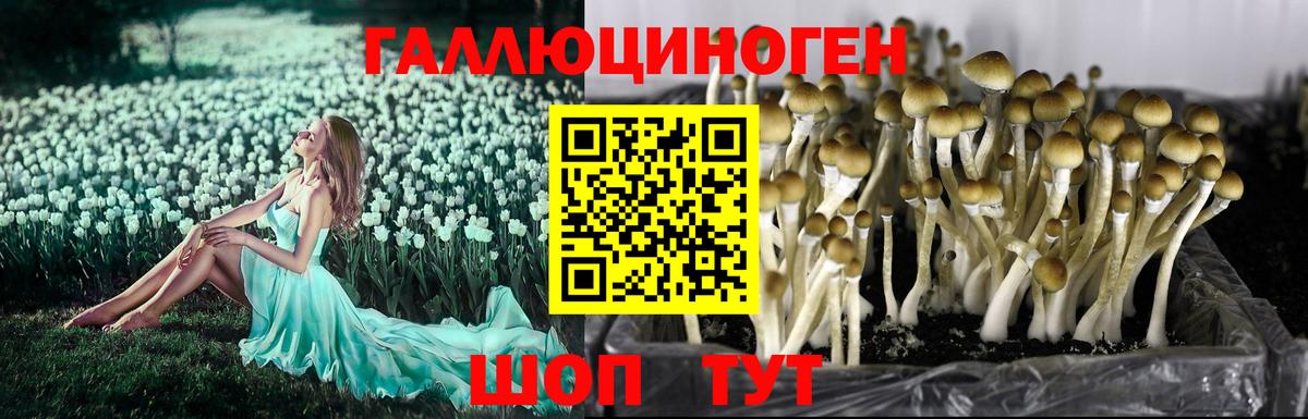 Галлюциногенные грибы MAGIC MUSHROOMS Еманжелинск